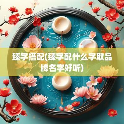 臻字搭配(臻字配什么字取品牌名字好听)