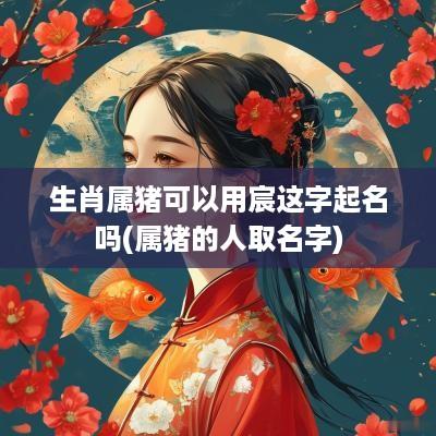 生肖属猪可以用宸这字起名吗(属猪的人取名字)