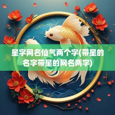 星字网名仙气两个字(带星的名字带星的网名两字)