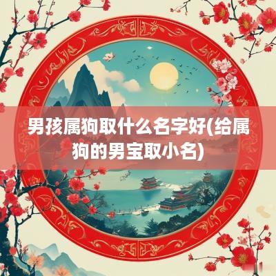 男孩属狗取什么名字好(给属狗的男宝取小名)
