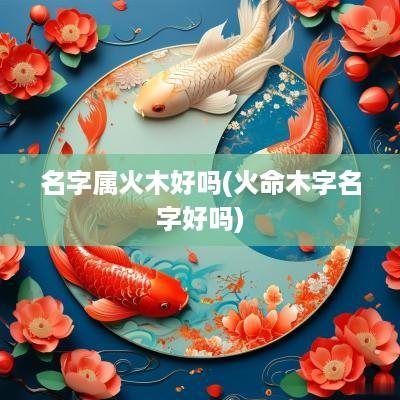名字属火木好吗(火命木字名字好吗)