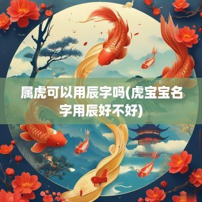 属虎可以用辰字吗(虎宝宝名字用辰好不好)
