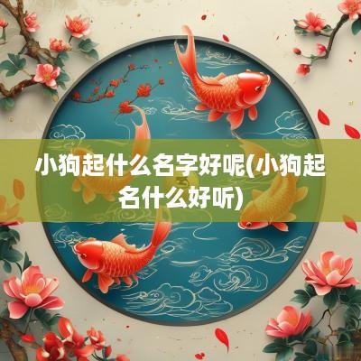 小狗起什么名字好呢(小狗起名什么好听)