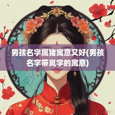 男孩名字属猪寓意又好(男孩名字带岚字的寓意)