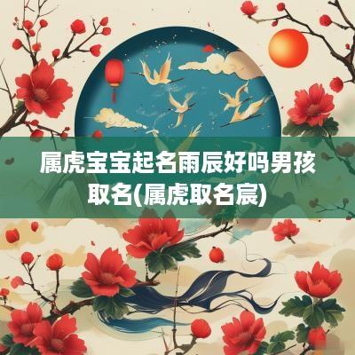 属虎宝宝起名雨辰好吗男孩取名(属虎取名宸)