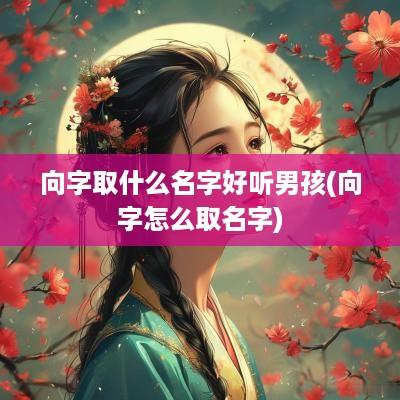 向字取什么名字好听男孩(向字怎么取名字)