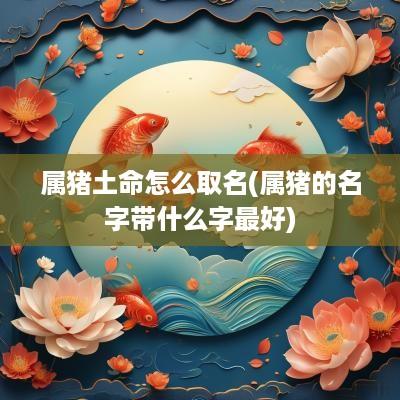属猪土命怎么取名(属猪的名字带什么字最好)