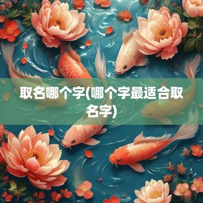 取名哪个字(哪个字最适合取名字)