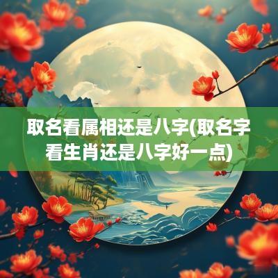 取名看属相还是八字(取名字看生肖还是八字好一点)