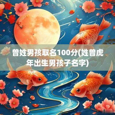 曾姓男孩取名100分(姓曾蛇年出生男孩子名字)