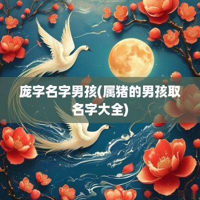 庞字名字男孩(属猪的男孩取名字大全)
