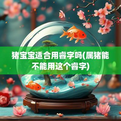 猪宝宝适合用睿字吗(属猪能不能用这个睿字)
