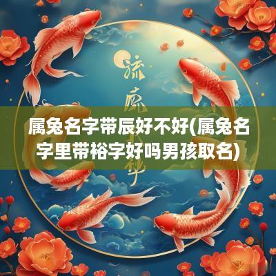 属兔名字带辰好不好(属兔名字里带裕字好吗男孩取名)