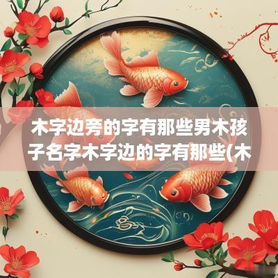 木字边旁的字有那些男木孩子名字木字边的字有那些(木字旁男孩取名字有哪些字)