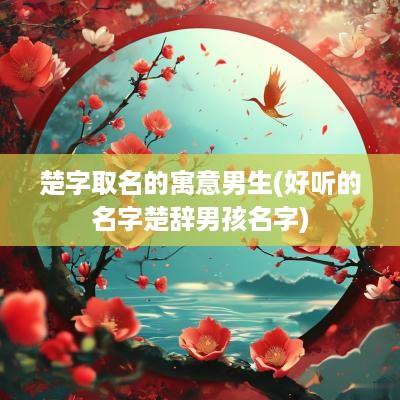 楚字取名的寓意男生(好听的名字楚辞男孩名字)