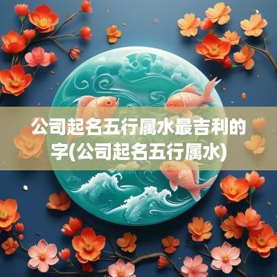 公司起名五行属水最吉利的字(公司起名五行属水)