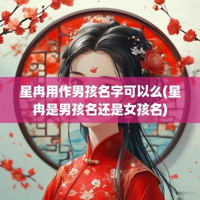 星冉用作男孩名字可以么(星冉是男孩名还是女孩名)