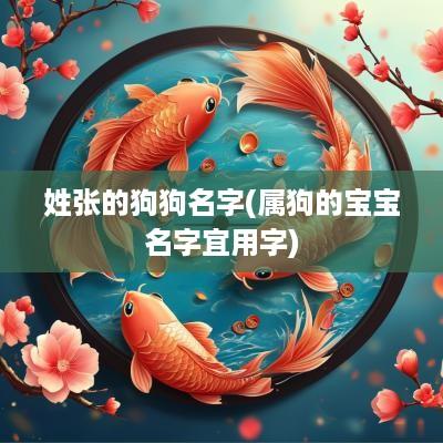 姓张的狗狗名字(属狗的宝宝名字宜用字)