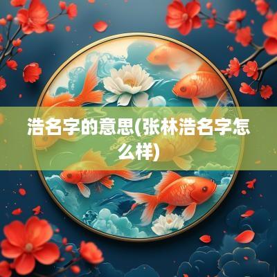 浩名字的意思(张林浩名字怎么样)