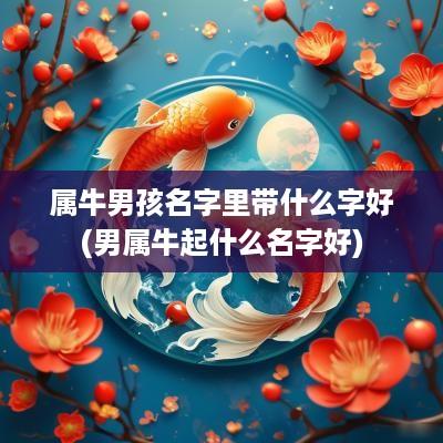 属牛男孩名字里带什么字好(男属牛起什么名字好)