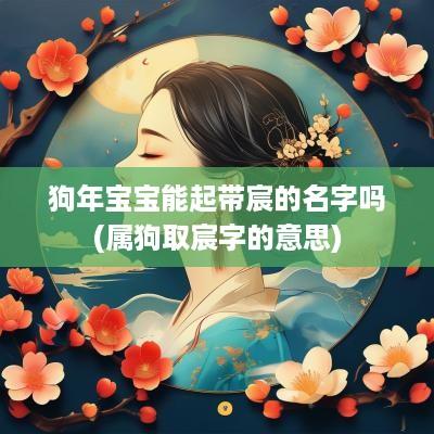 狗年宝宝能起带宸的名字吗(属狗取宸字的意思)