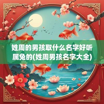 姓周的男孩取什么名字好听属兔的(姓周男孩名字大全)