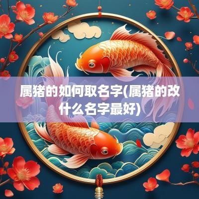 属猪的如何取名字(属猪的改什么名字最好) 属猪的如何取名字(属猪的改什么名字最好)