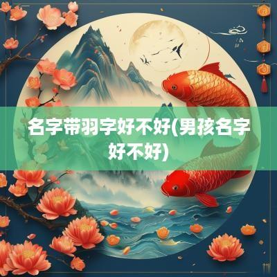 名字带羽字好不好(男孩名字好不好)