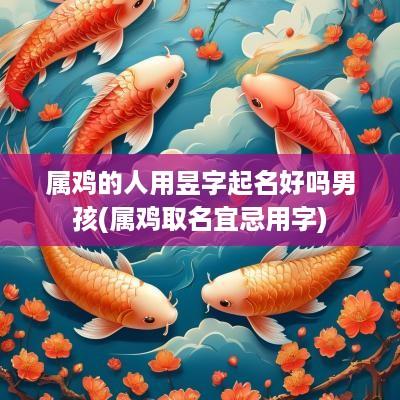 属鸡的人用昱字起名好吗男孩(属鸡取名宜忌用字)