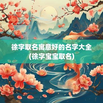 徐字取名寓意好的名字大全(徐字宝宝取名)