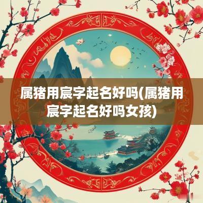 属猪用宸字起名好吗(属猪用宸字起名好吗女孩)