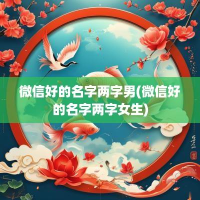 微信好的名字两字男(微信好的名字两字女生)