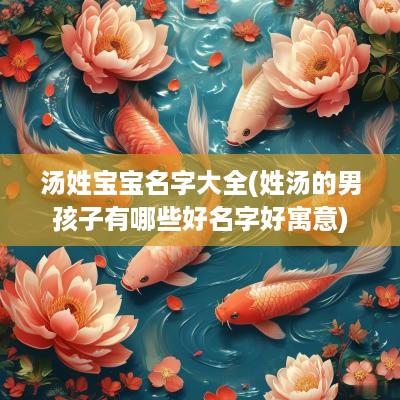 汤姓宝宝名字大全(姓汤的男孩子有哪些好名字好寓意)