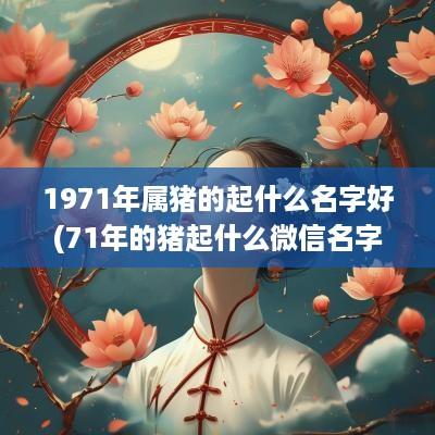 1971年属猪的起什么名字好(71年的猪起什么微信名字好)