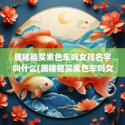 属猪能买紫色车吗女孩名字叫什么(属猪能买紫色车吗女孩名字)