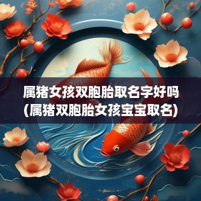 属猪女孩双胞胎取名字好吗(属猪双胞胎女孩宝宝取名)