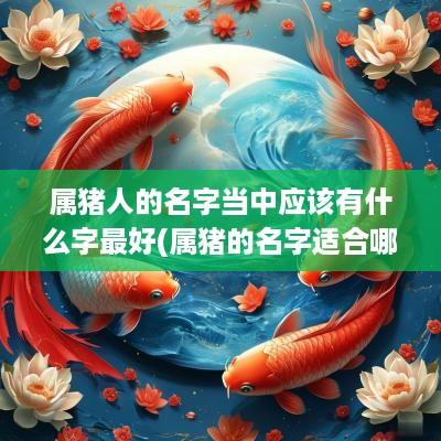 属猪人的名字当中应该有什么字最好(属猪的名字适合哪些字)
