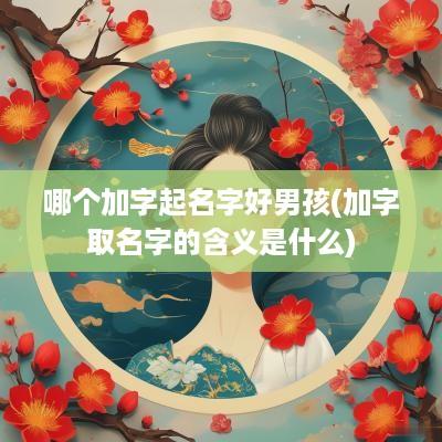 哪个加字起名字好男孩(加字取名字的含义是什么)