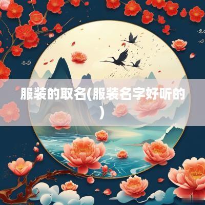 服装的取名(服装名字好听的)