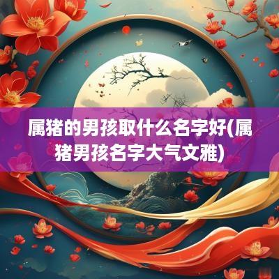 属猪的男孩取什么名字好(属猪男孩名字大气文雅)