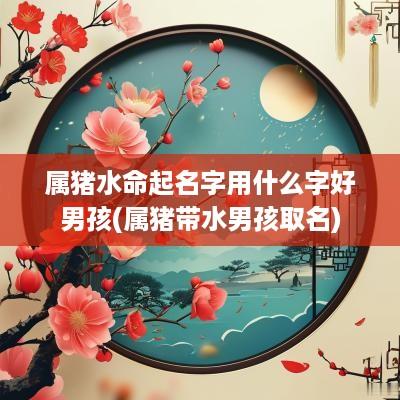 属猪水命起名字用什么字好男孩(属猪带水男孩取名)