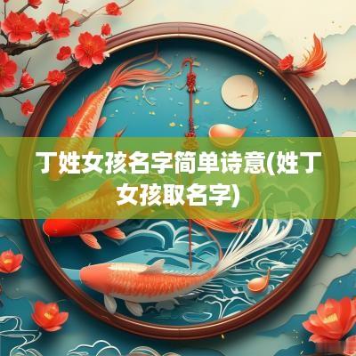 丁姓女孩名字简单诗意(姓丁女孩取名字)