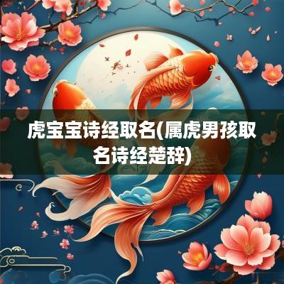 虎宝宝诗经取名(属虎男孩取名诗经楚辞)