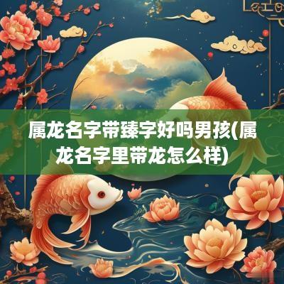 属龙名字带臻字好吗男孩(属龙名字里带龙怎么样)