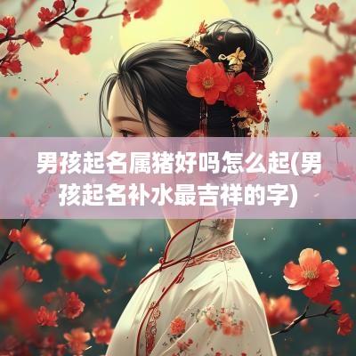 男孩起名属猪好吗怎么起(男孩起名补水最吉祥的字)
