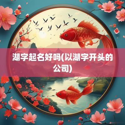 湖字起名好吗(以湖字开头的公司)