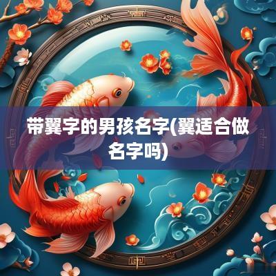 带翼字的男孩名字(翼适合做名字吗)