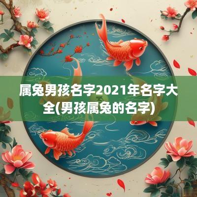 属兔男孩名字2025年名字大全(男孩属兔的名字)