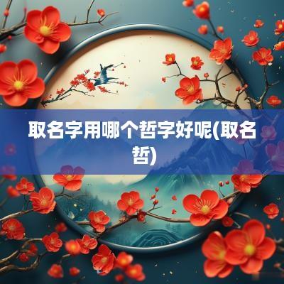 取名字用哪个哲字好呢(取名 哲)