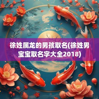 徐姓属龙的男孩取名(徐姓男宝宝取名字大全2018)